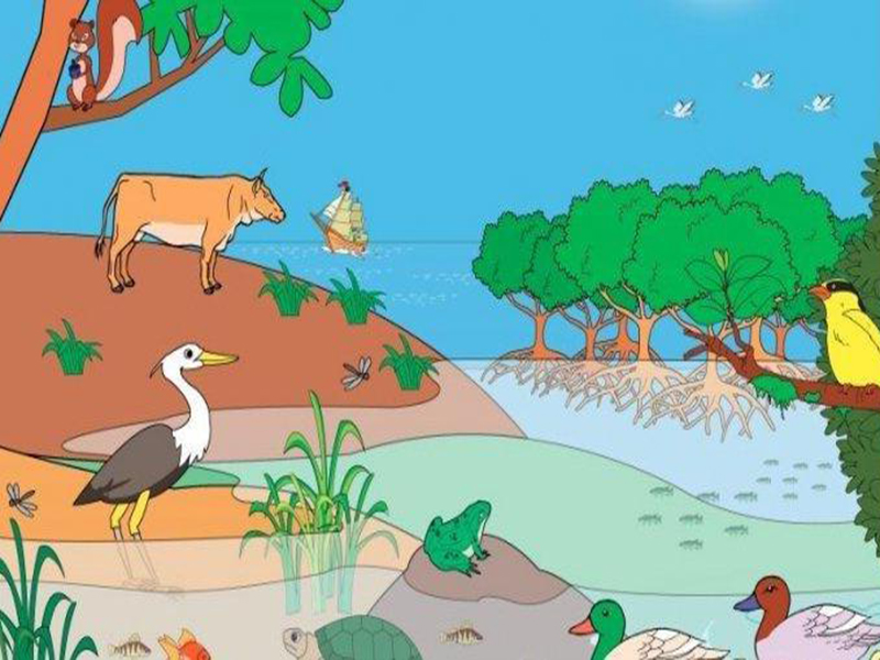 Komponen Biotik dan Abiotik